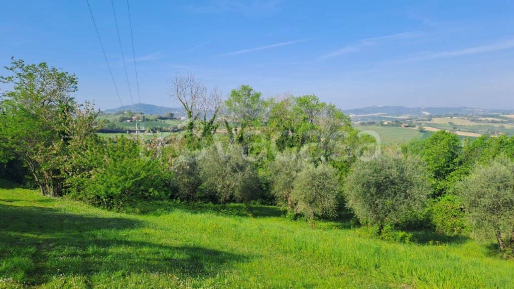 terreno agricolo in vendita a Fano in zona Carignano Terme