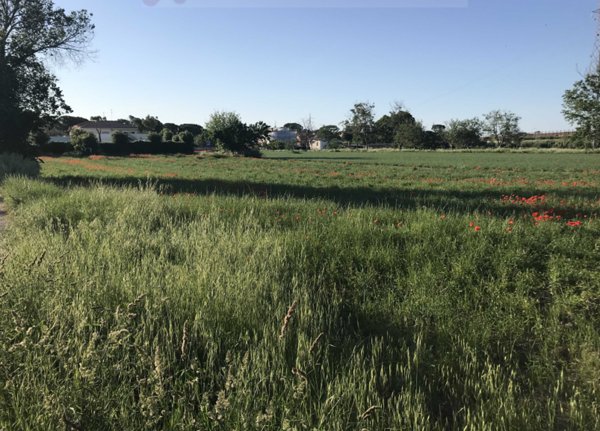 terreno edificabile in vendita a Fano
