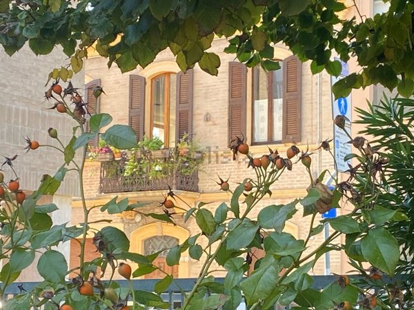 appartamento in vendita a Fano