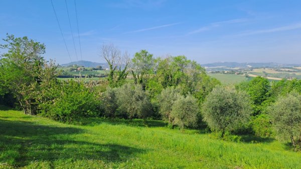 terreno agricolo in vendita a Fano in zona Carignano Terme