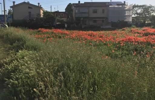 appartamento in vendita a Fano in zona Rosciano