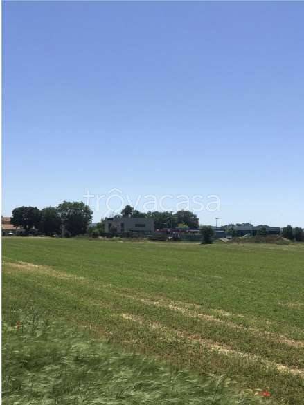 appartamento in vendita a Fano