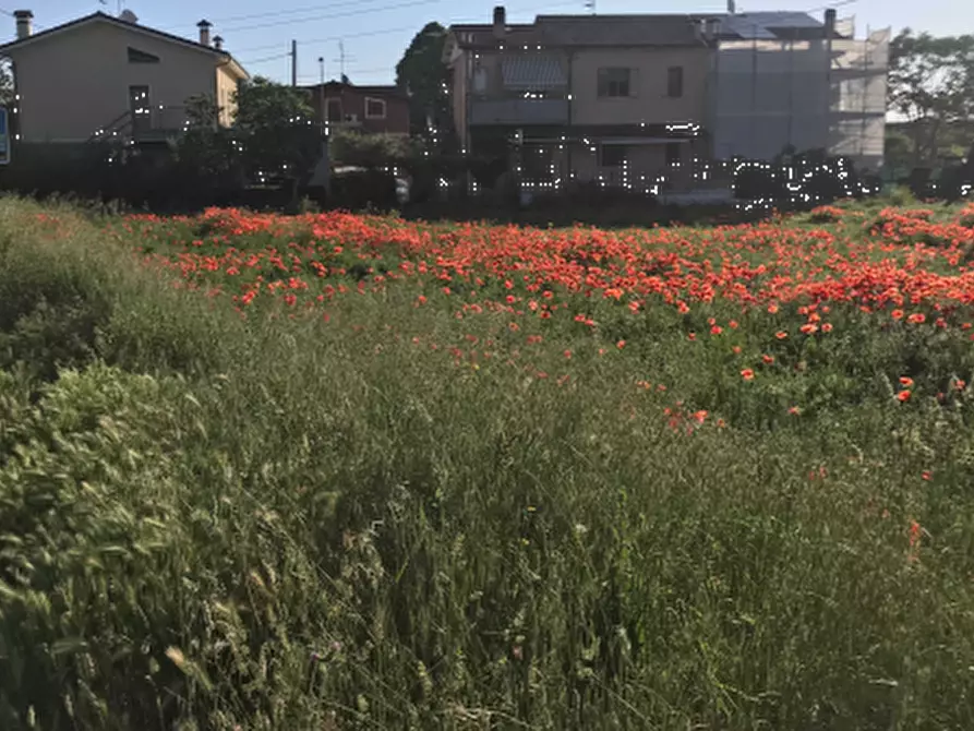 terreno edificabile in vendita a Fano in zona Rosciano