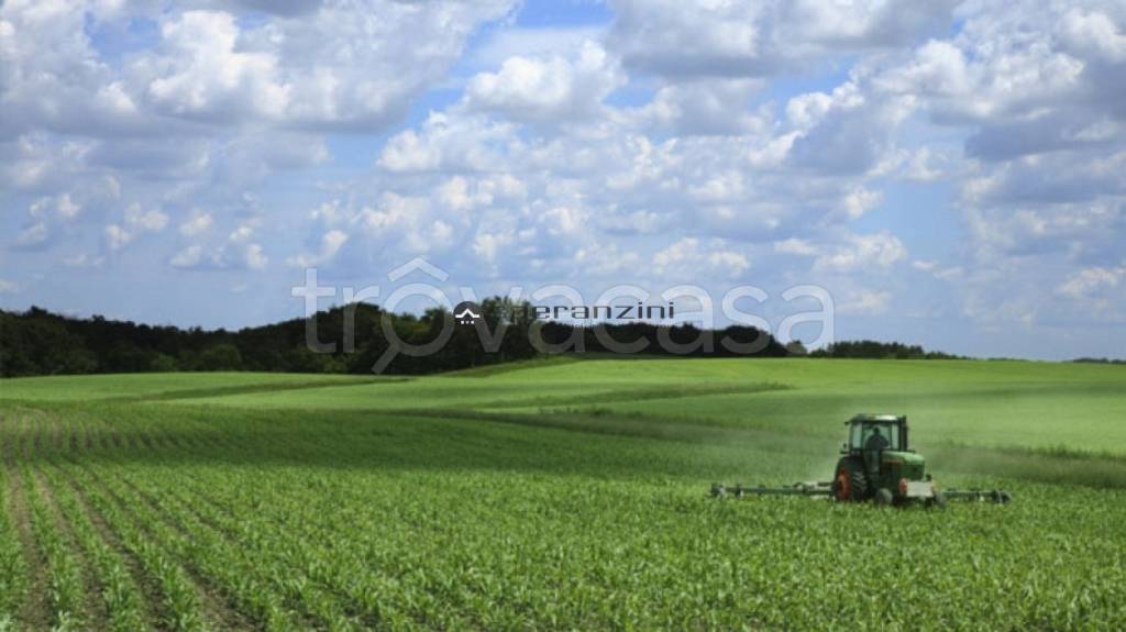 terreno agricolo in vendita a Fano in zona Magliano