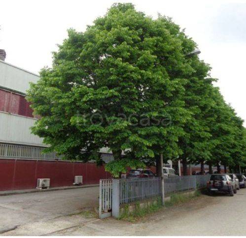 capannone in vendita a Fano in zona Rosciano