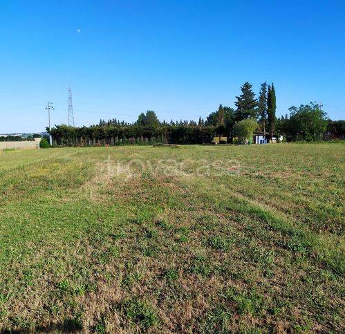 terreno agricolo in vendita a Fano in zona Cuccurano