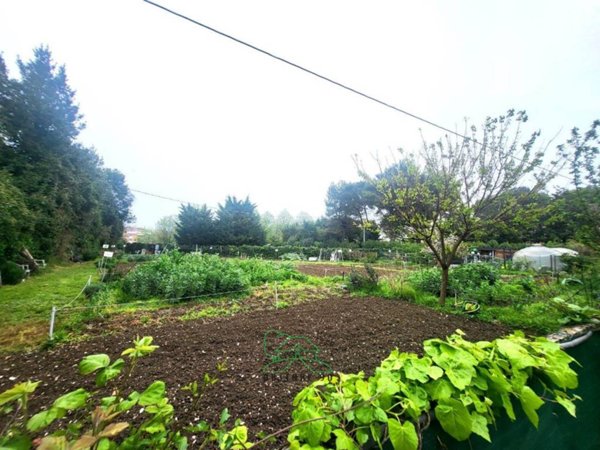 terreno agricolo in vendita a Fano