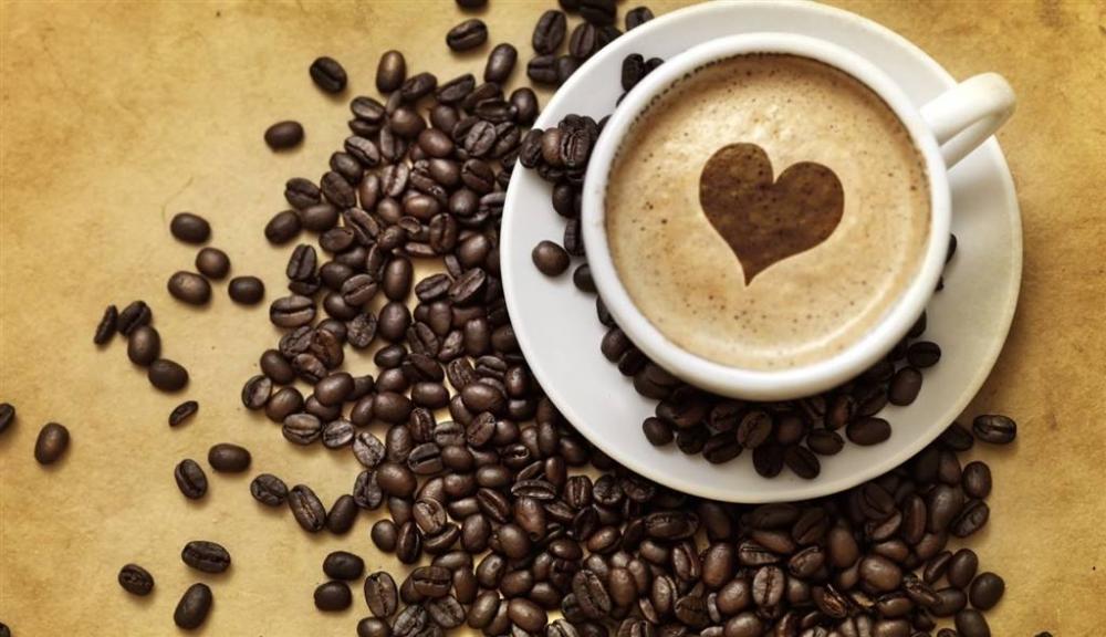 negozio in vendita a Fano