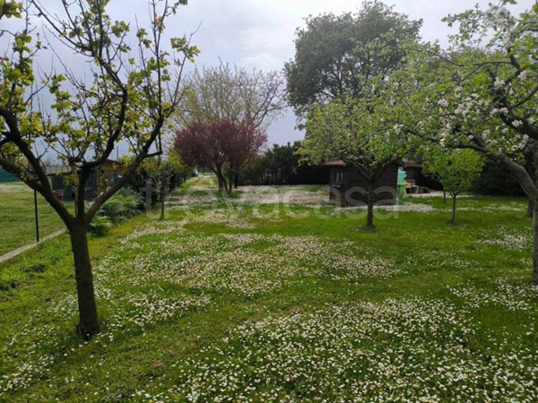 terreno agricolo in vendita a Fano in zona Bellocchi
