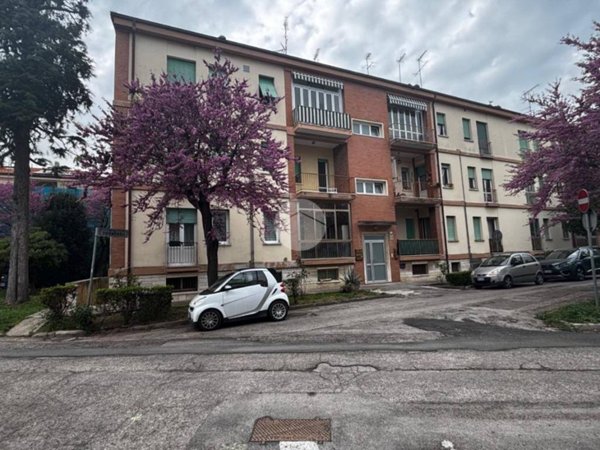 appartamento in vendita a Fano