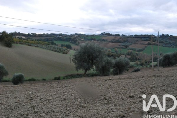 terreno agricolo in vendita a Fano