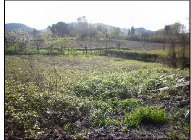 terreno agricolo in vendita a Fano