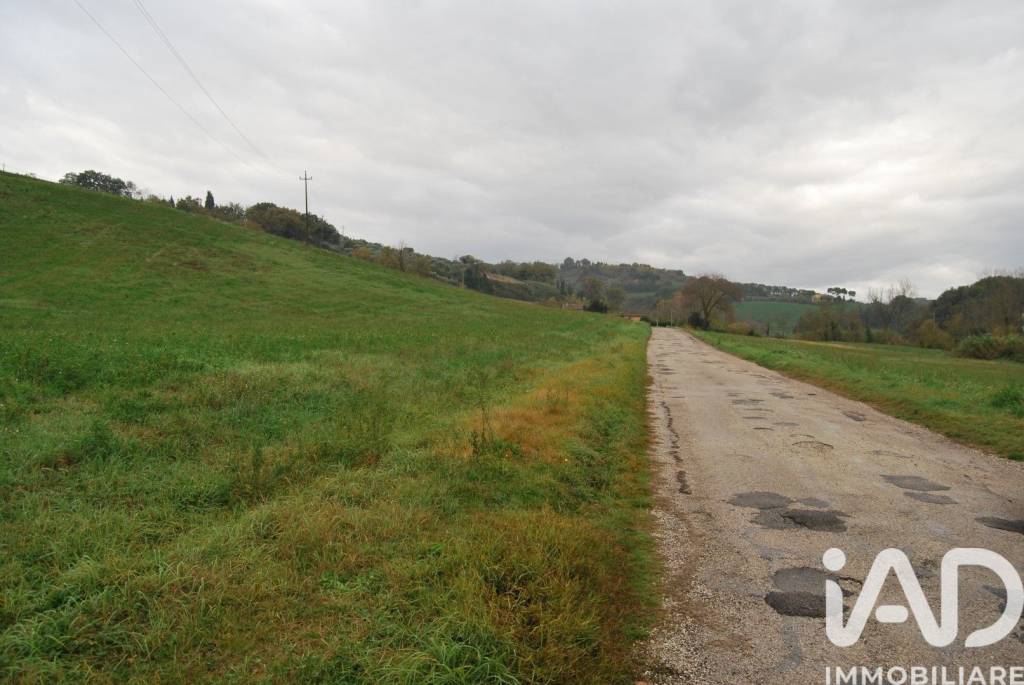 terreno agricolo in vendita a Fano