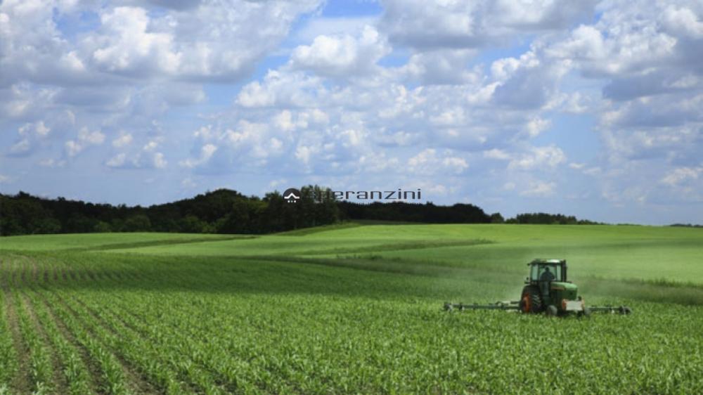 terreno agricolo in vendita a Fano