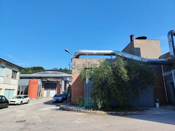 quadrivano in vendita a Fano in zona Rosciano