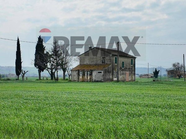 terreno agricolo in vendita a Fano