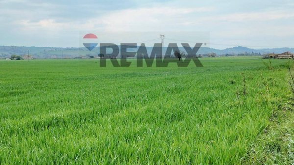 terreno agricolo in vendita a Fano in zona Falcineto