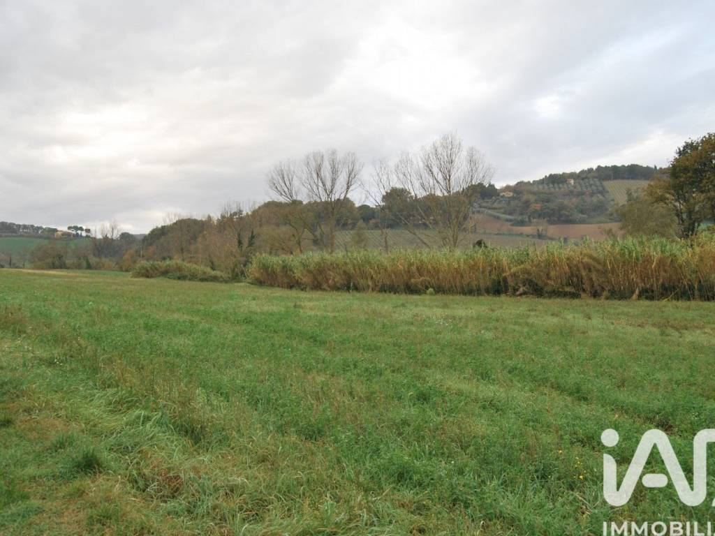 terreno agricolo in vendita a Fano in zona Centinarola
