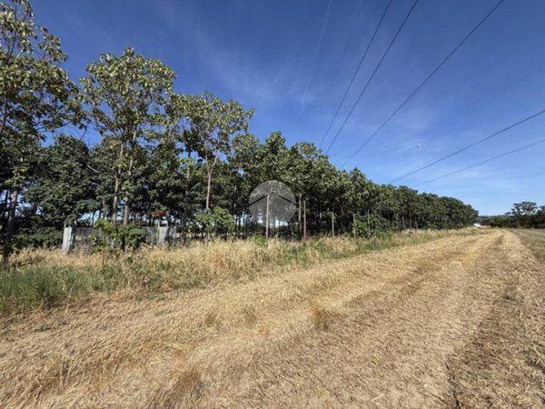 terreno agricolo in vendita a Fano