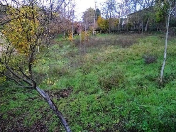 terreno agricolo in vendita a Fermignano
