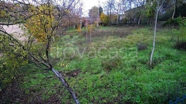 terreno agricolo in vendita a Fermignano