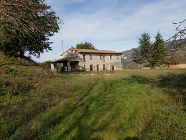 esavano in vendita a Fermignano