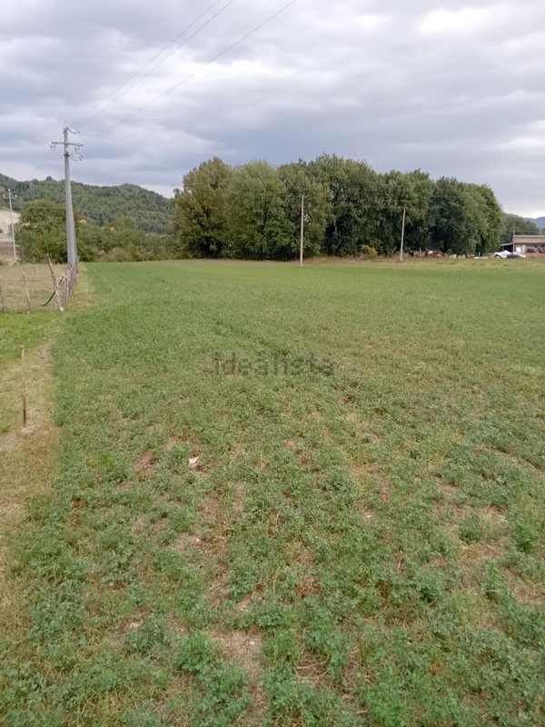 terreno agricolo in vendita a Fermignano