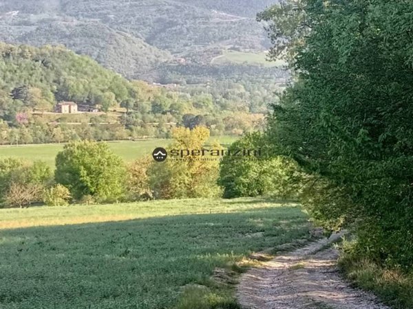 terreno agricolo in vendita a Fossombrone