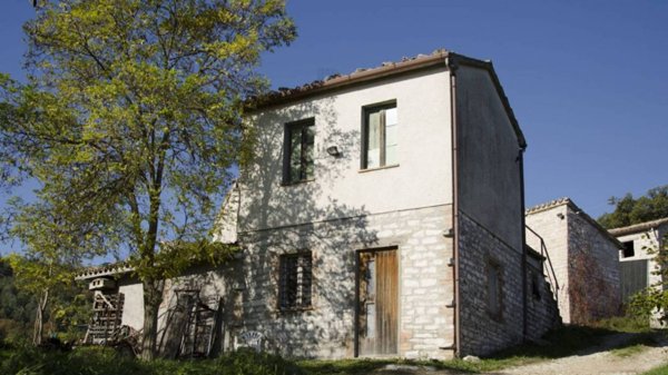 intera palazzina in vendita a Fossombrone in zona Torricella