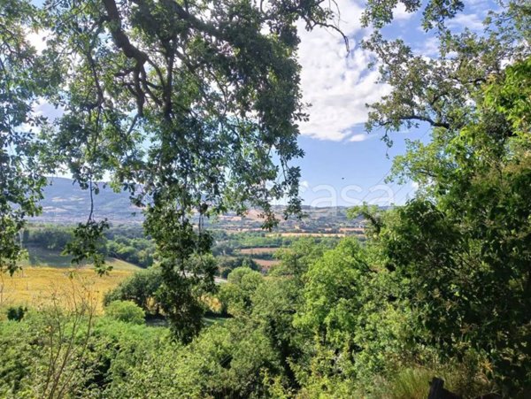 casa indipendente in vendita a Fossombrone