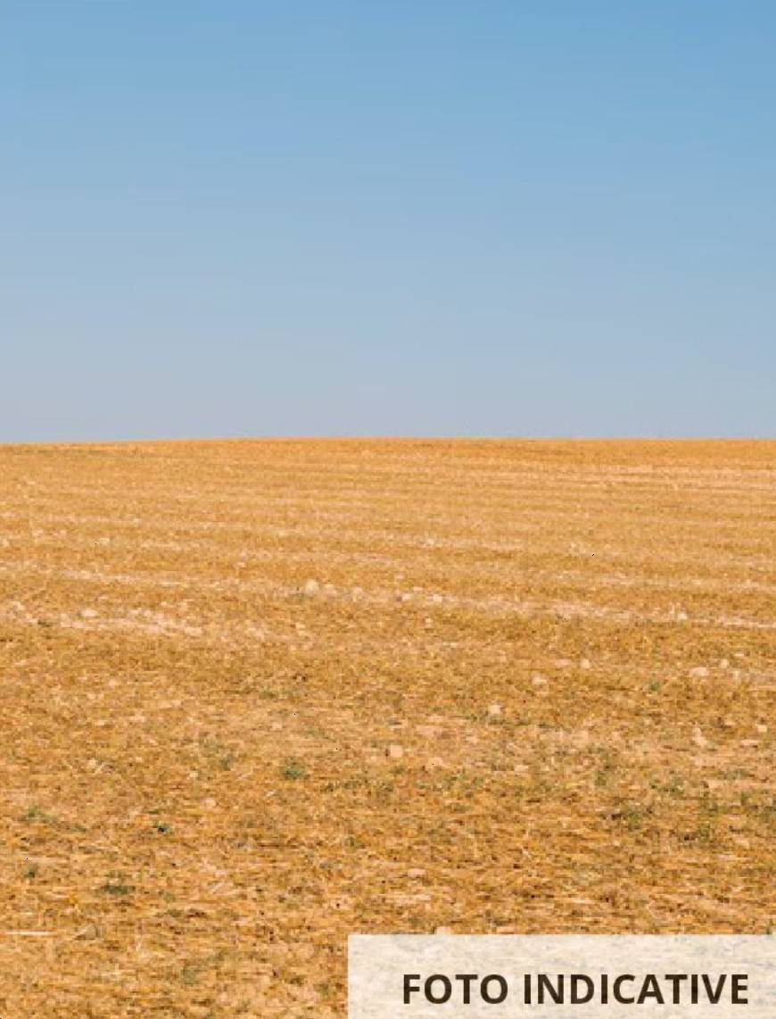 terreno agricolo in vendita a Fossombrone