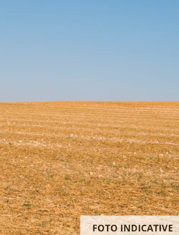 terreno agricolo in vendita a Fossombrone