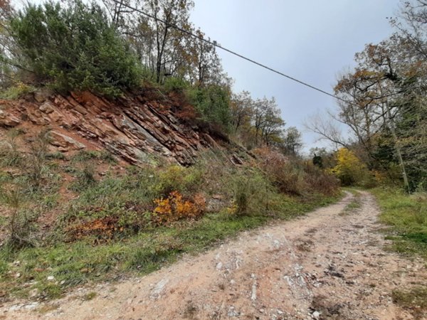 terreno agricolo in vendita a Fossombrone in zona Torricella