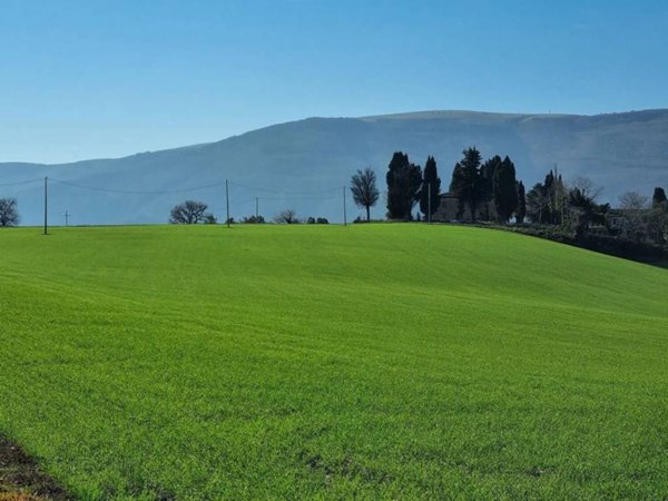 casa indipendente in vendita a Fossombrone