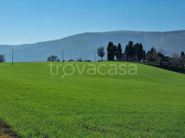 casa indipendente in vendita a Fossombrone