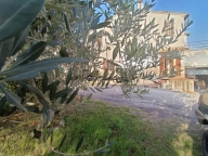 casa indipendente in vendita a Fossombrone in zona Isola di Fano