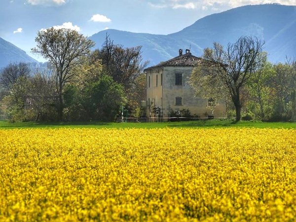 casa indipendente in vendita a Fossombrone