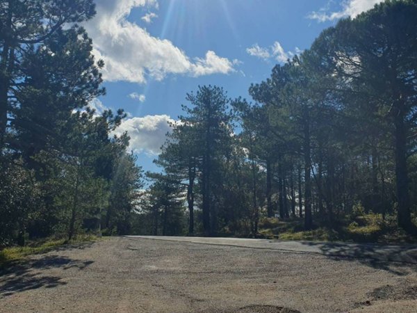 casa indipendente in vendita a Fossombrone