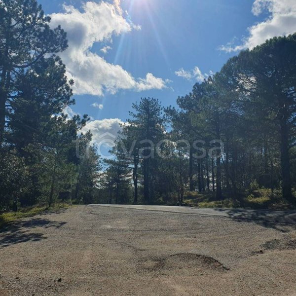 casa indipendente in vendita a Fossombrone