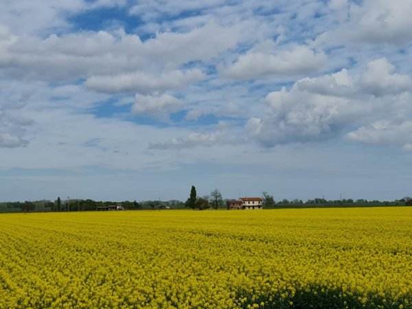 appartamento in vendita a Fossombrone in zona Isola di Fano