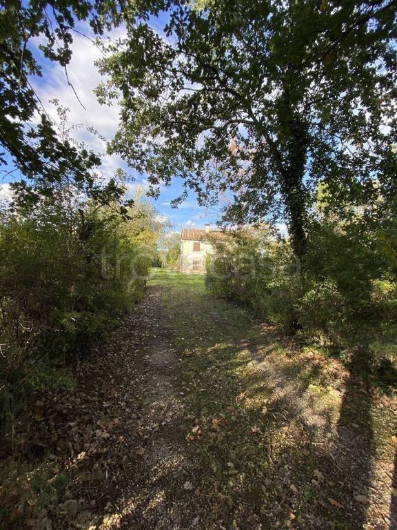 casa indipendente in vendita a Fossombrone