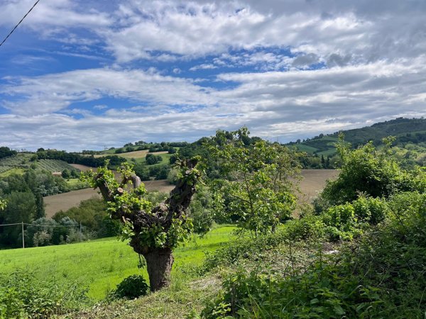 casale in vendita a Fossombrone