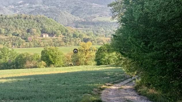terreno agricolo in vendita a Fossombrone