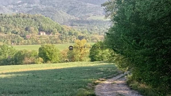 terreno agricolo in vendita a Fossombrone