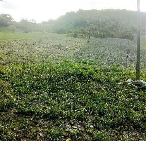 terreno agricolo in vendita a Frontone