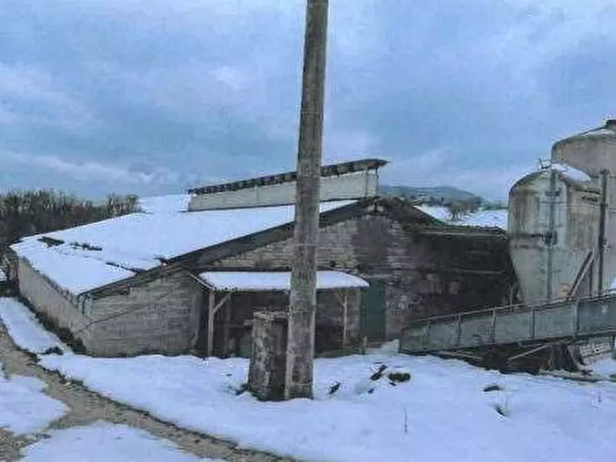 azienda agricola in vendita a Frontone