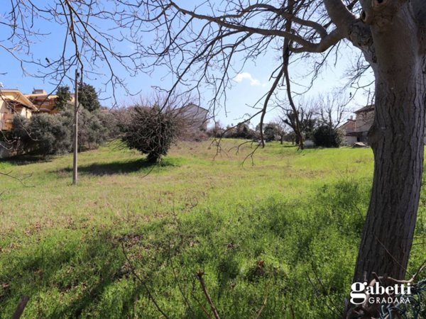 terreno agricolo in vendita a Gradara