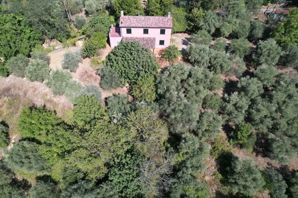 quadrivano in vendita a Gradara in zona Granarola