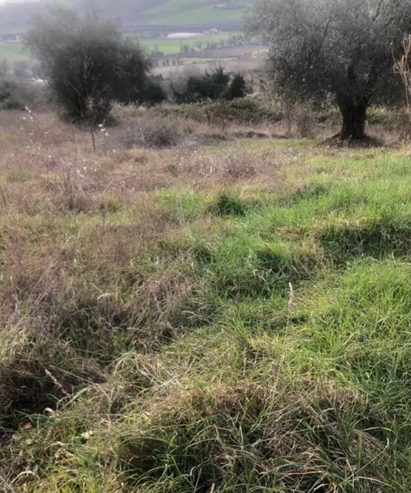 terreno edificabile in vendita a Gradara in zona Granarola