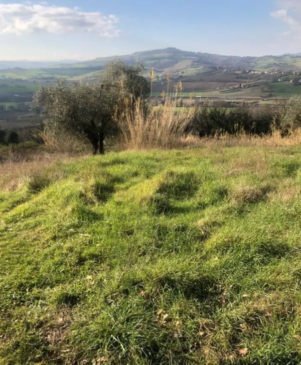 terreno edificabile in vendita a Gradara in zona Granarola